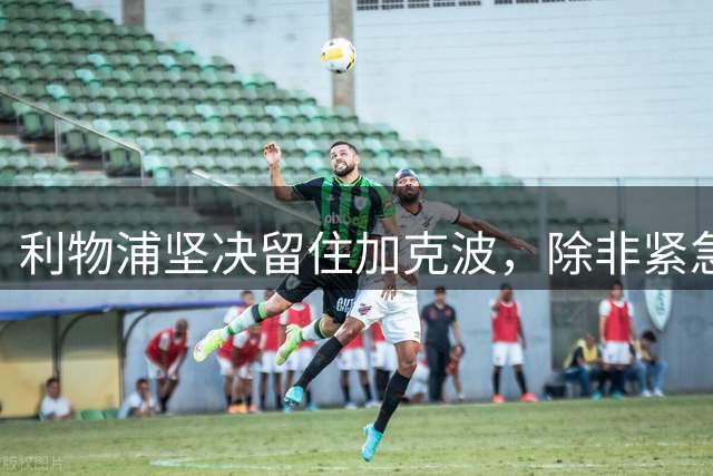 利物浦坚决留住加克波，除非紧急补强锋线
